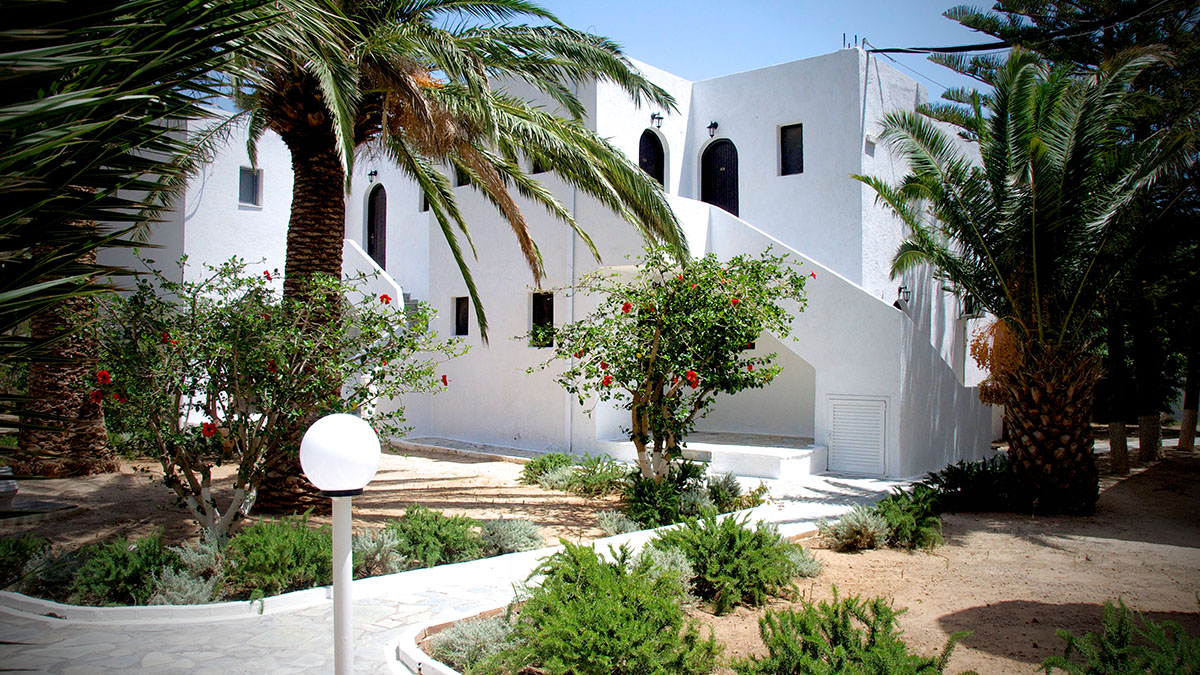 Avra Palm - NR, Crete